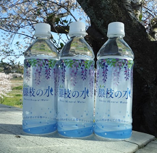 藤枝の水